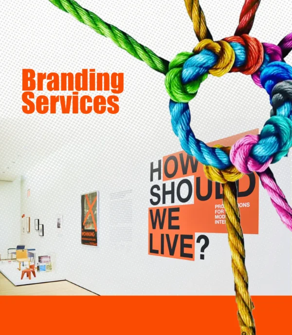 Offset & Digital Printing